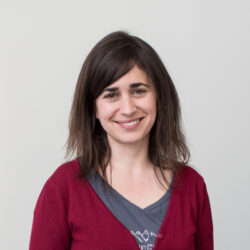 Participant d'action 1.1
Ingénieur ans l'équipe KIWI au Loria.